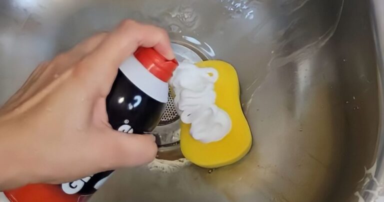 Shaving foam on the dish sponge: solves many problems in the kitchen