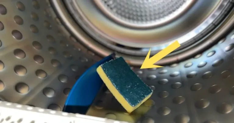 Dish sponge, put it in the washing machine: because it saves you money at the end of the month