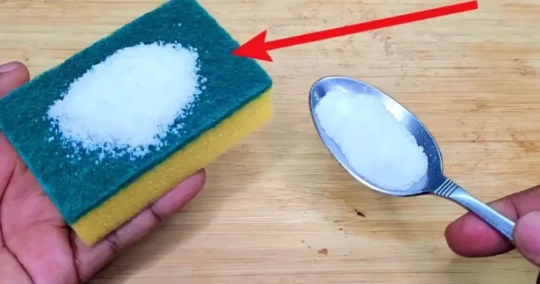 Sponge for washing dishes, add salt before use: the secret of housewives