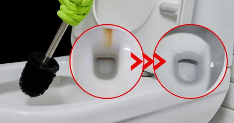 Goodbye yellow streaks from the toilet, detergents do not solve anything: only in this way will the problem be eliminated