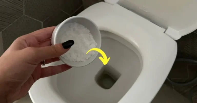 Fresh and very fragrant odorless, the most powerful natural remedy that exists