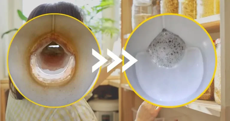 Toilet full of rust and lime, forget about bleach: you can solve the problem in the kitchen