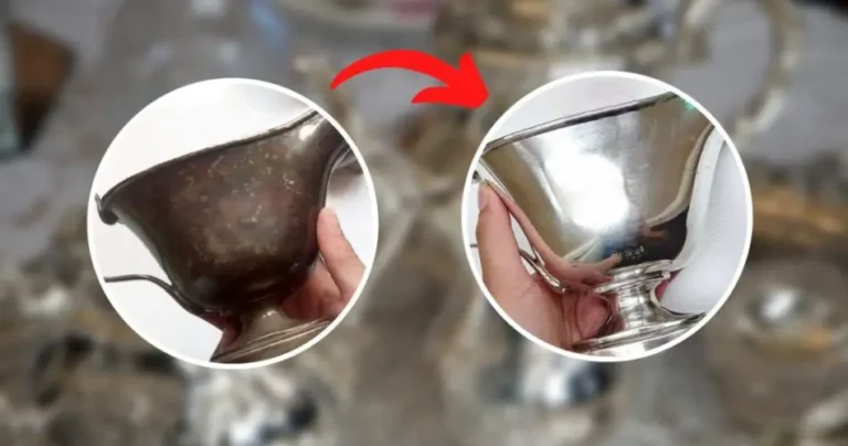 Blackened and oxidized silver, so you can clean it without damaging it: you have everything in the kitchen