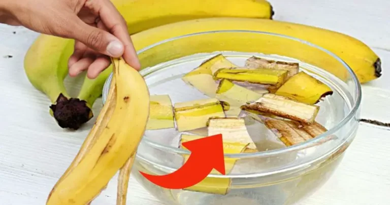 Banana peels, throwing them away is a big waste: for housewives they are worth gold | Use them like this