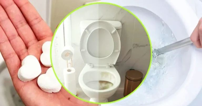 Smelly toilet, you just need these bombs to leave it clean and smelling fresh | Very simple