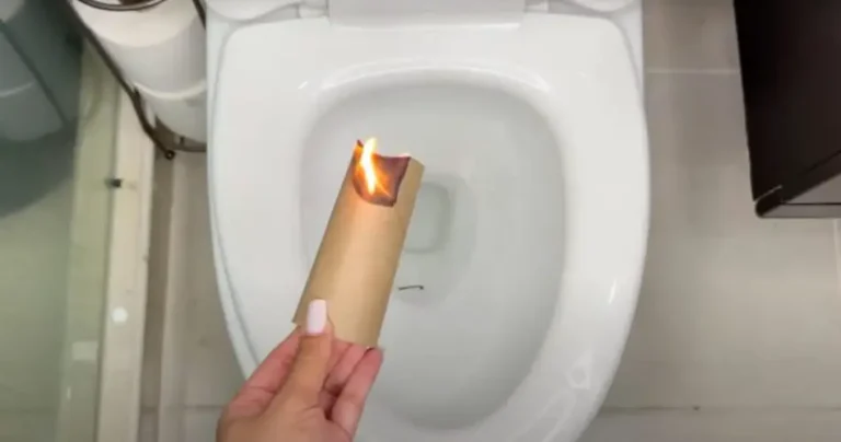 Burn the toilet paper roll in the bathroom, you won’t be able to do without it