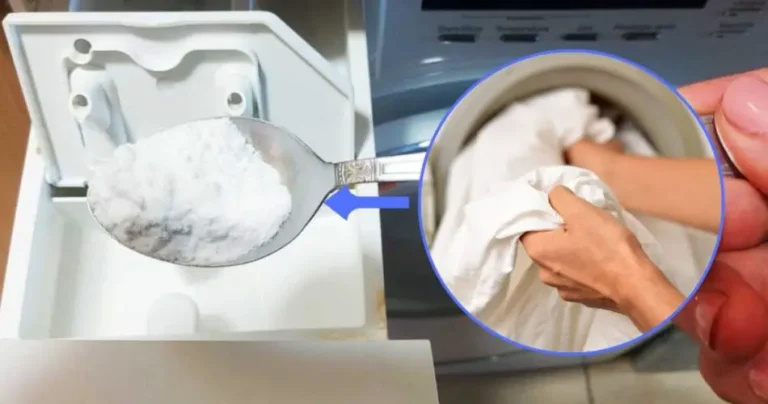 Clothes as white and pure as milk: you only need this ingredient