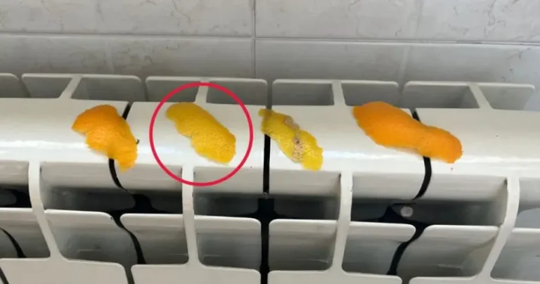 Citrus peels on radiators: what happens is surprising