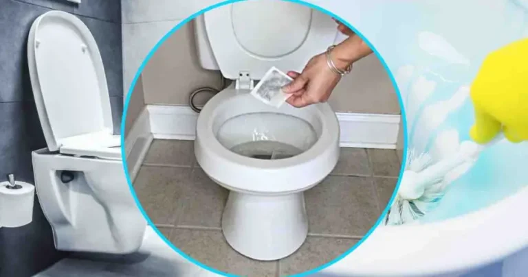 Tea bag in the toilet, flush it every night before going to bed: the unthinkable happens