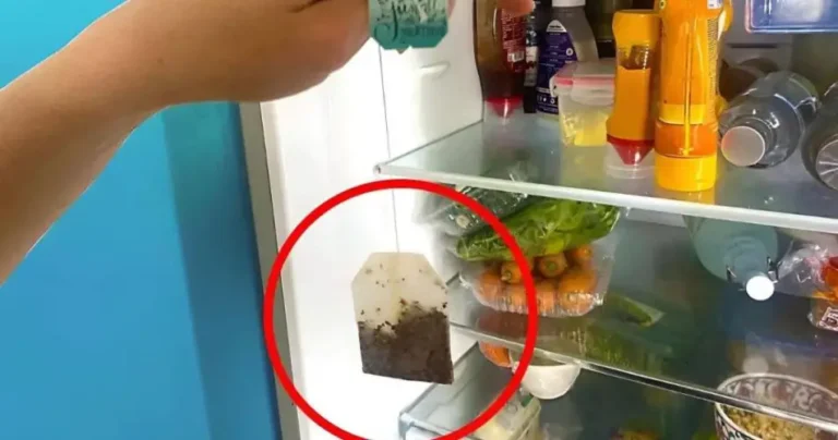 Place a tea bag in the refrigerator overnight – here’s why you should do it