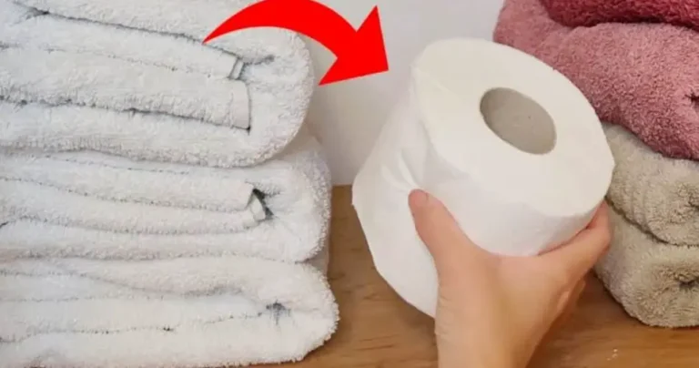 Put toilet paper in your closet, you will be surprised by the results