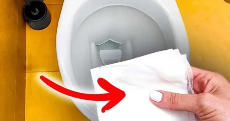 Toilet paper soaked in vinegar in the toilet, leave it overnight and admire the results. 