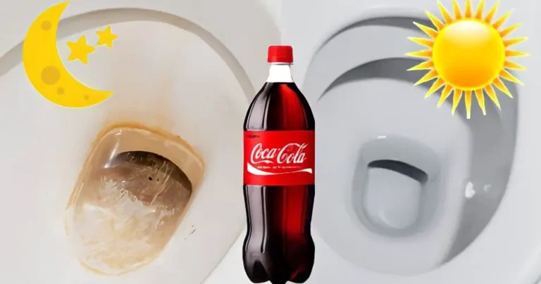 Pour the Coca Cola down the toilet and leave it overnight: in the morning it will be new to you