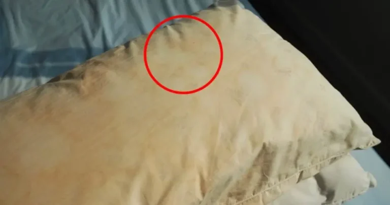 Yellowed mattresses and pillows, how to whiten them without using bleach