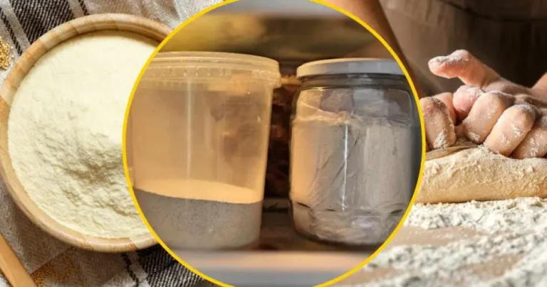 Flour in the freezer, this very simple gesture saves your life in 1 minute: try it and you will see