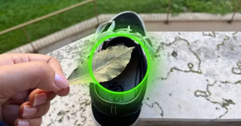 Put 1 bay leaf in your shoes, guaranteed results if you do it the night before