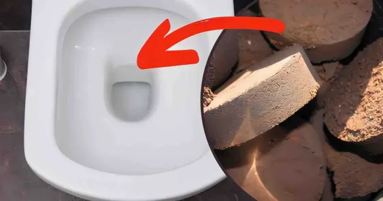 Coffee grounds, throw them down the toilet: you have no idea what’s happening