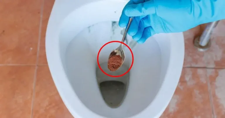 Coffee grounds in the bathroom, instant results if you try it: what happens