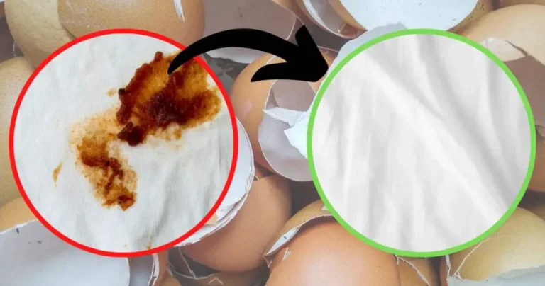 Eggshell, what are stain removers for? Put it in your shoes: you will never believe it