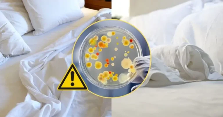 Sheets full of dust and bacteria: how often should you wash them