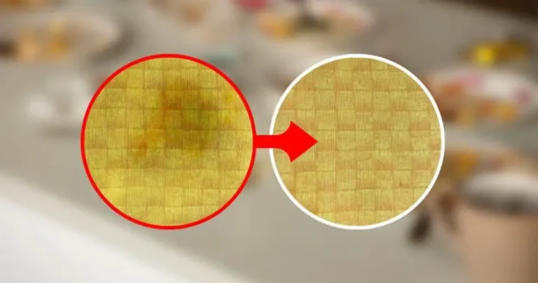 Oil on the tablecloth, removing stains without a washing machine: just a few seconds