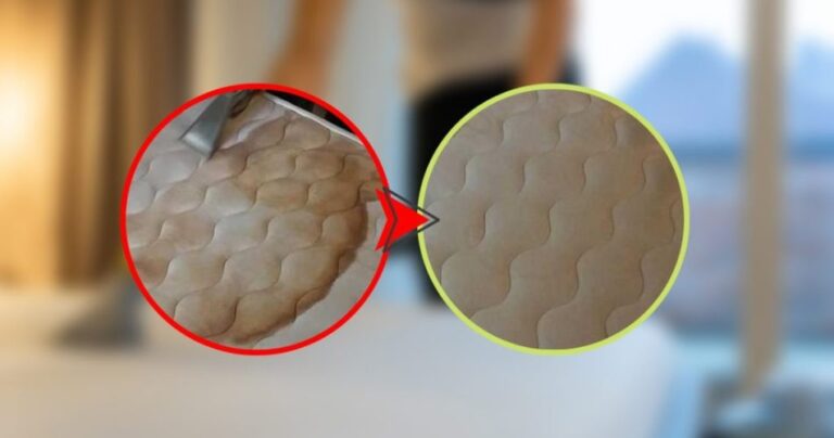 Dirty mattress full of stains, the natural remedy to remove them