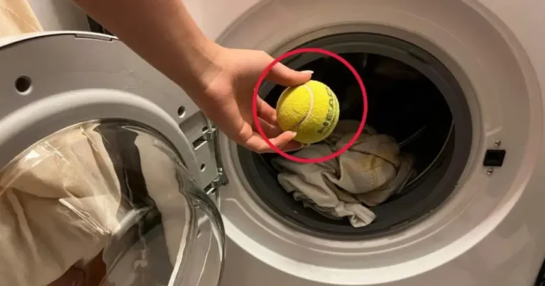 Put a tennis ball in the washing machine, what happens to the clothes is sensational