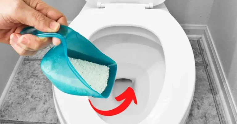 Dust from clothes, throw it into the toilet: the result you did not expect