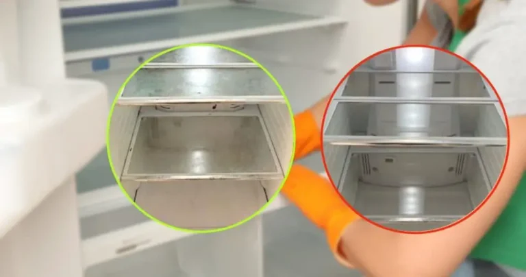 Very shiny refrigerator shelves, no vinegar needed: go look for this ingredient in the kitchen