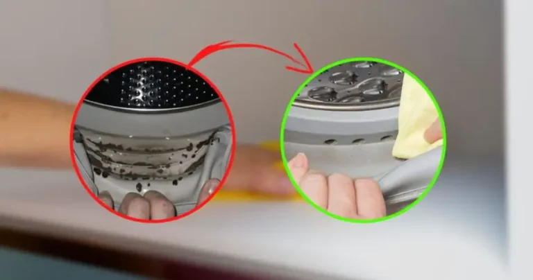 Washing machine sealing, eliminate all mold with this home remedy