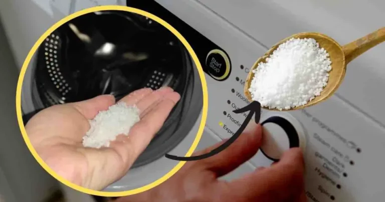 Salt in the washing machine, have you ever tried it? From today you will start doing it: what happens to leaders is miraculous