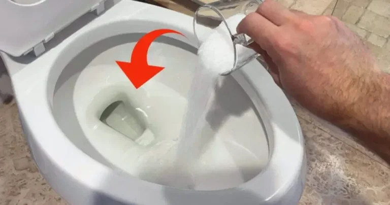 Putting salt down the toilet: this is what happens to the toilet immediately after