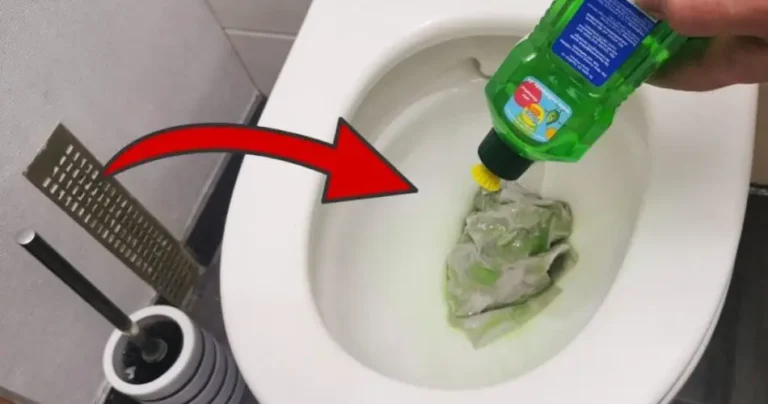 Dish soap in the toilet, the solution to many problems: what happens if you try it?