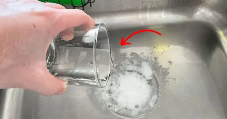 Clogged drain, how to fix it without asking the plumber for help