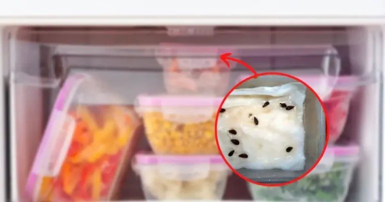 Apple seed in the refrigerator: what do you find after 20 days if you leave it there