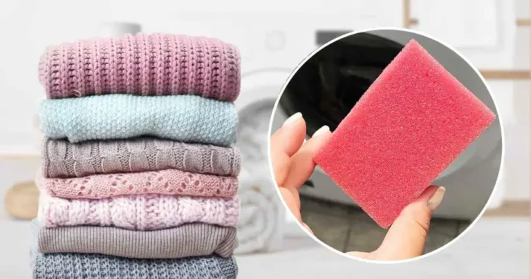 Non-kitchen sponge: put it in the washing machine and enjoy the show | Impeccable Laundry