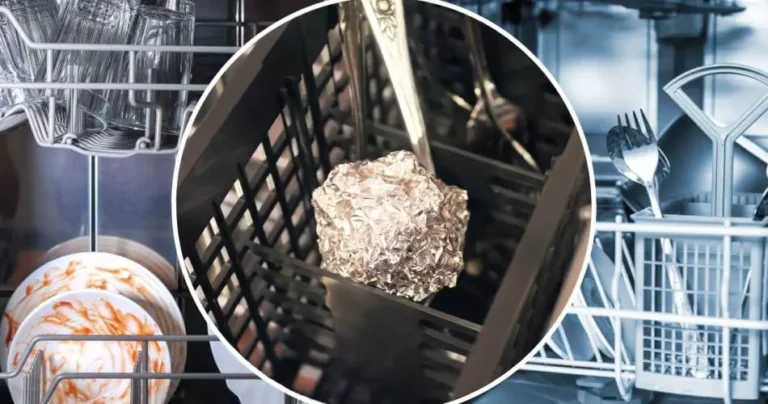 Aluminum ball in the dishwasher, what happens will leave you speechless