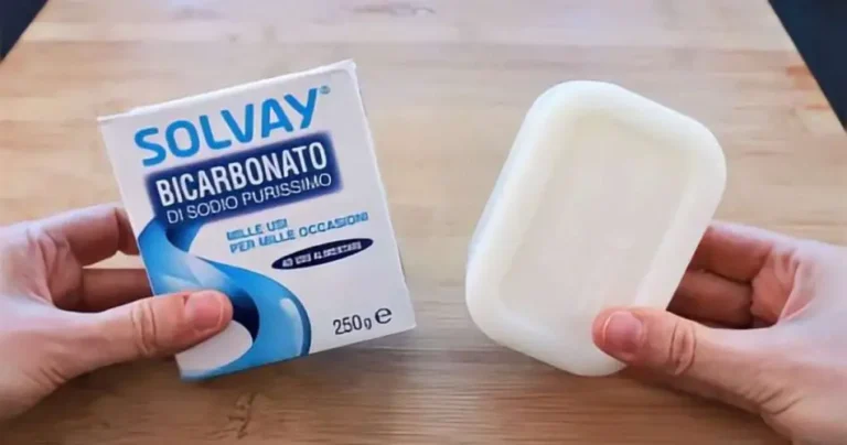 Mix these two ingredients, you will save a lot of money at the end of the month