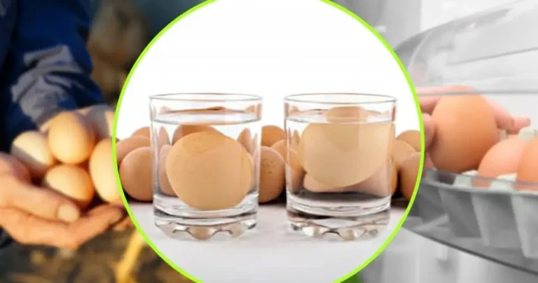 Eggs, submerge them in water and see: if this happens, throw them away immediately