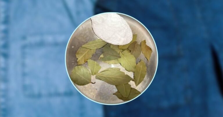 Faded or discolored clothes, the laurel trick to make them look as before