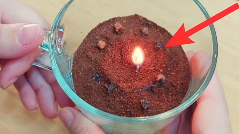 We show you how to make flies and cockroaches disappear from your house in less than 10 minutes