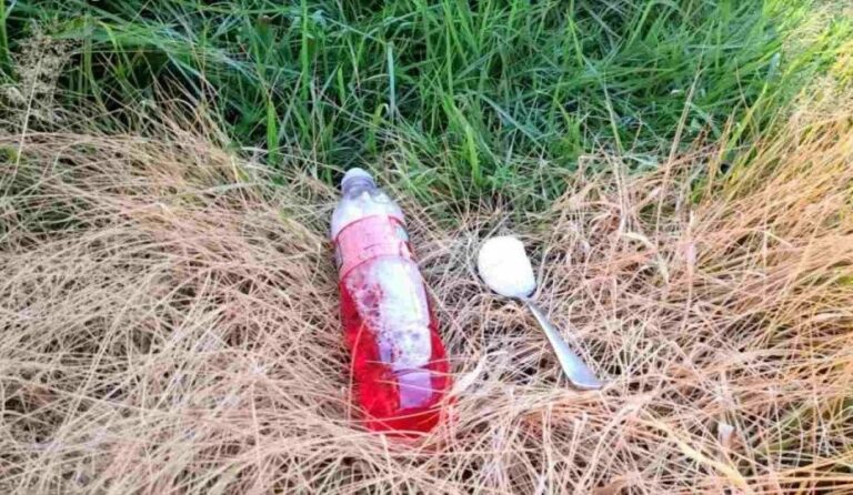 Uncultivated garden, only with this ingredient you will eliminate all weeds and bushes