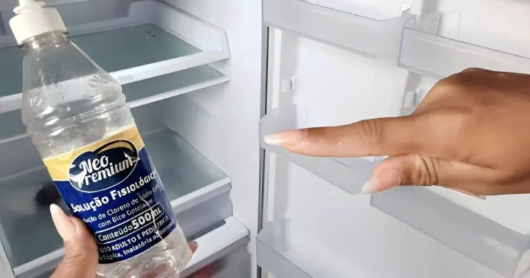 How to eliminate the smell of putrefaction from the refrigerator, here is the only remedy that works