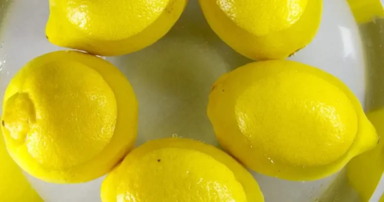 Discover the method to preserve lemons for a long time and without them getting moldy!