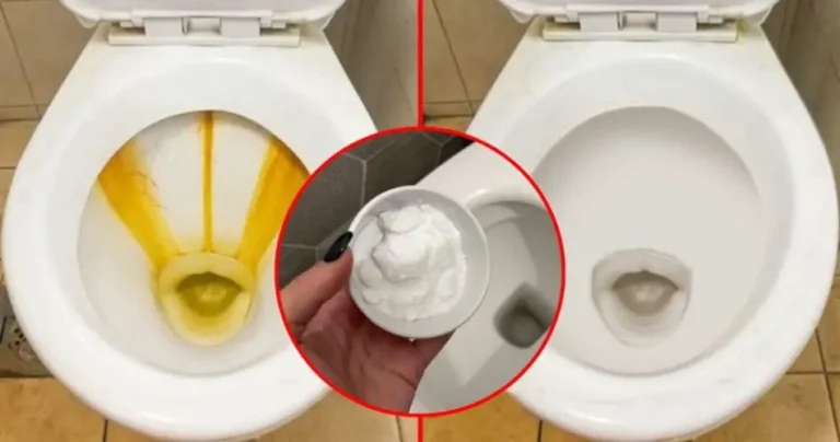 Tartar in the bathroom, how to eliminate it: use this powerful natural remedy