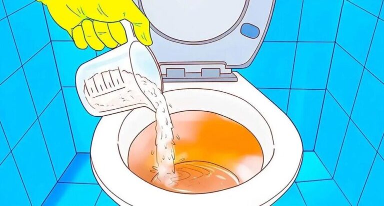 Pouring detergent into the toilet at night: The ingenious trick that solves a big problem