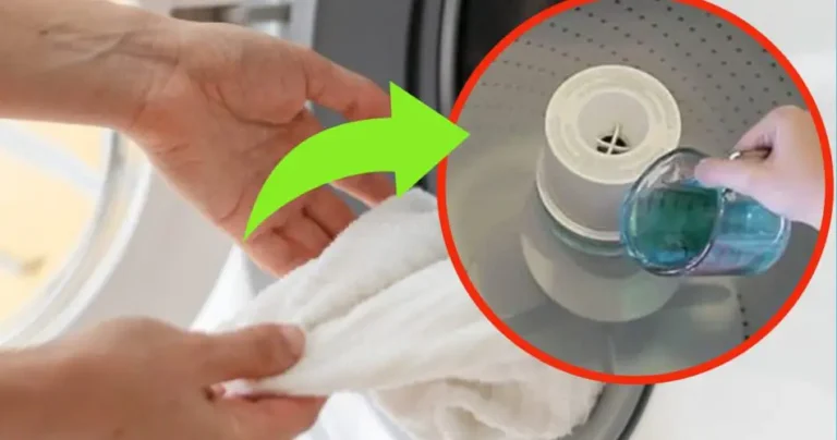 Mouthwash in the washing machine, there has never been a laundry like it: the ancient secret of laundries