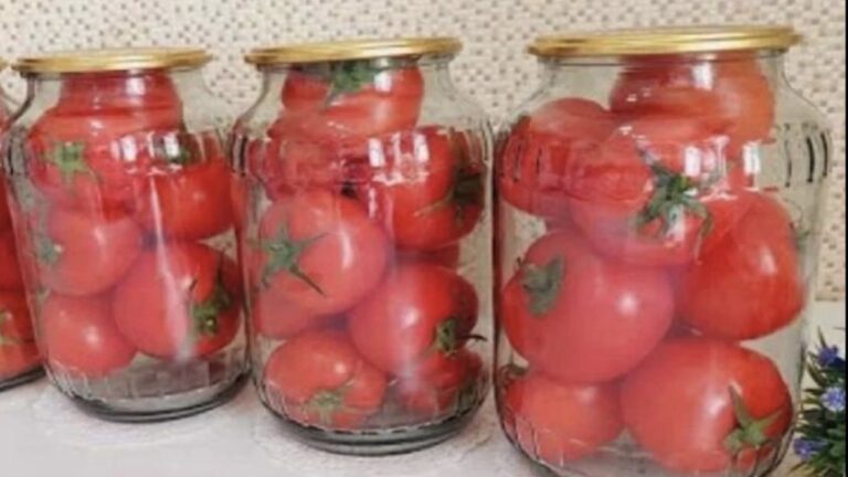 Preserving tomatoes for 2 years using the oven only