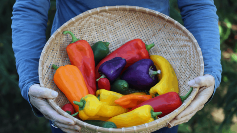 How to Ensure a Bountiful Harvest