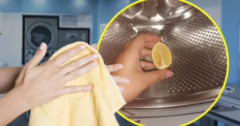 Lemon in the washing machine, have you ever tried it? Goodbye fabric softener: they make it in all laundries